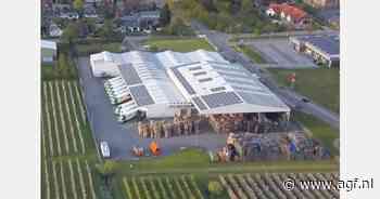 "Eerste retailprogramma's met overzeese Royal Gala in week 16"