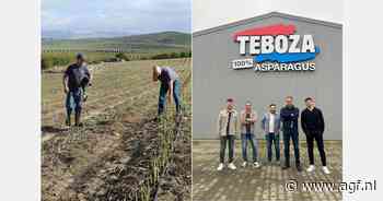 "Met het huidige asperge-aanbod in Noord-Europa zal het een vraagmarkt blijven"