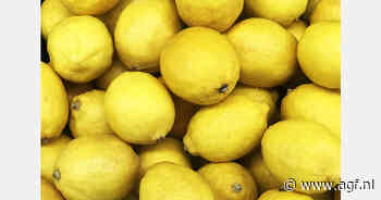 Turkije schort citroenexport op