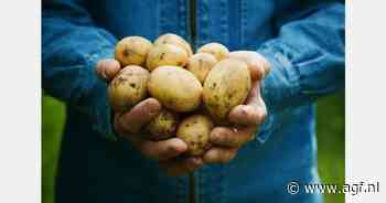 "Aardappelmarkt blijft groeien"