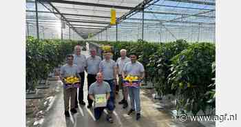 Gibbons en Bente: Introductie van twee nieuwe blokpaprika’s