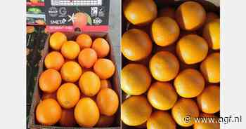 Egyptische citrussector focust zich meer op sapfabrikanten