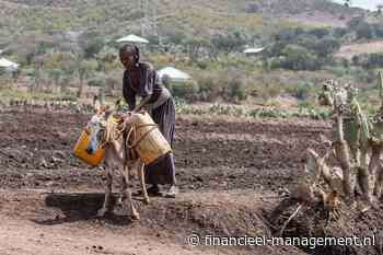 Fiscale voordelen ontwikkelingslanden inefficiënt ratjetoe