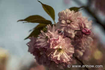 Morning Notes for April 8, 2025