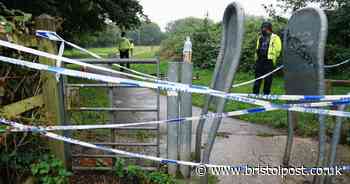 Boy, 15, and girl, 13, guilty of killing 80-year-old dog walker in park