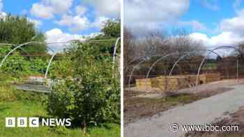 Disused community polytunnel gets makeover