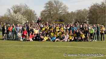 Heffers uit Voortkapel kampioen in het liefhebbersverbond