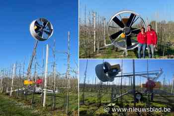 “Nee, dit is geen grote haardroger”: hiermee beschermen Wim en Liesbeth hun bloesems en iedereen mag komen genieten van het resultaat