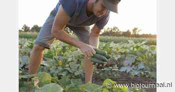 "Overheidsbeleid zet (bio)bedrijven stil"