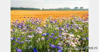 Nieuwe investering in campagne 1001ha