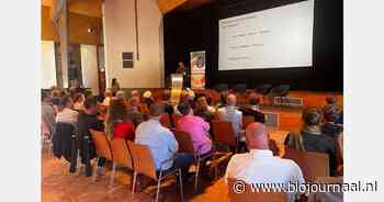 "Inspiratiedag vol spiegeling en verbinding"