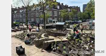 Nieuwe bio-plantendienst voor gemeenten