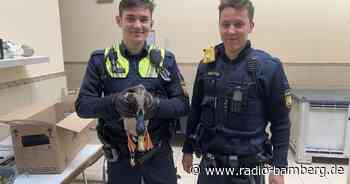 Polizisten retten schwer verletzte Ente