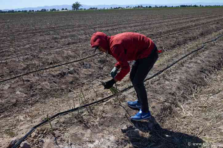 US withholding water from Mexico to address debt, official says