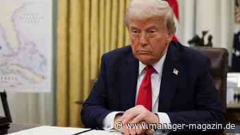 US-Handelskonflikt: Lob des Nichtstuns im Umgang mit Trump