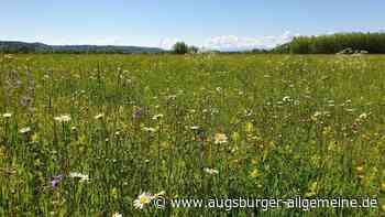 Rekordjahr beim Vertragsnaturschutz im Landkreis Landsberg