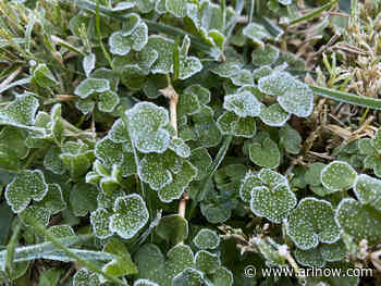 NEW: Freeze Warning issued for Arlington and D.C. area