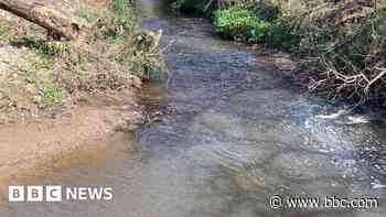 Warning as slurry pollutes stream near beach