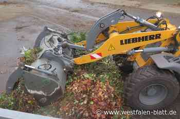 Wer klaut einen Radlader und fährt damit weg?