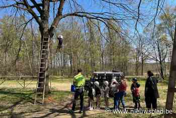 Gemeente maakt tijdens buitenspeeldag ruimte voor inclusie met prikkelarme speelzone