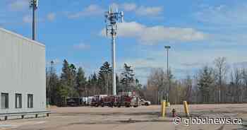 25-year-old worker in New Brunswick dies after cell tower fall