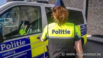 Twee twintigers gewond na botsing tegen boom in Hasselt