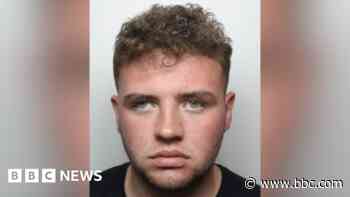 Man crashed stolen car and killed half-brother