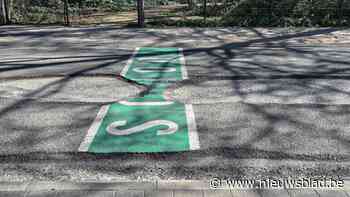 Putten in Deurnsebaan worden (eindelijk) aangepakt: Straat krijgt volledig nieuw wegdek