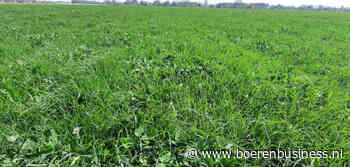 Ondanks de zon wil het gras nog niet echt groeien