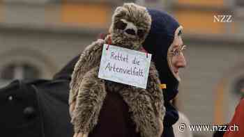 Die EU prüft die Verwendung von NGO-Milliarden zu wenig, sagt der Rechnungshof – mehr Kontrolle heisst mehr Bürokratie, antwortet die Kommission