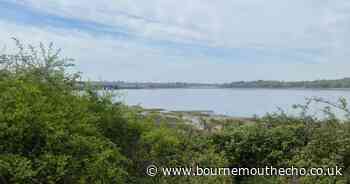 Man released on police bail following murder arrest as investigation continues