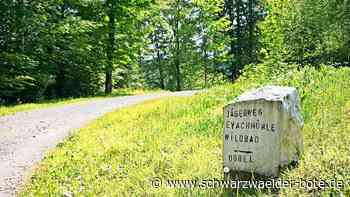 Wanderopening in Dobel: Durch tiefe dunkle Wälder