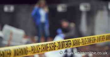 Brits obsessed with unsolved crimes like Jack the Ripper, shows research