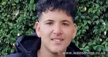 Boy, 16, who dreamt of being a doctor, stabbed to death just days after moving from Wales