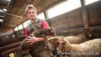 „Ich lerne durch Schmerzen“ - so betreibt ein blinder Landwirt seinen Hof