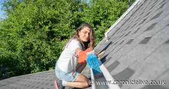 Shoppers are raving about 'brilliant bit of kit' that makes cleaning gutters, soffits and conservatories 'easy'
