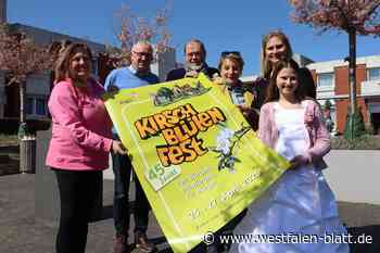 Chillout-Lounge fürs Kirschblütenfest