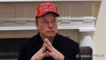 "Dümmer als ein Sack Backsteine": Musk beschimpft Trump-Berater Navarro