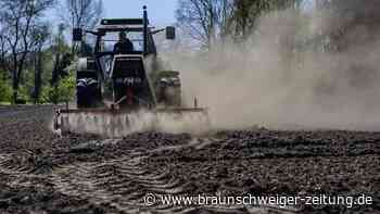 Trauriger Klima-Rekord: Zwei Aufgaben muss Politik jetzt angehen