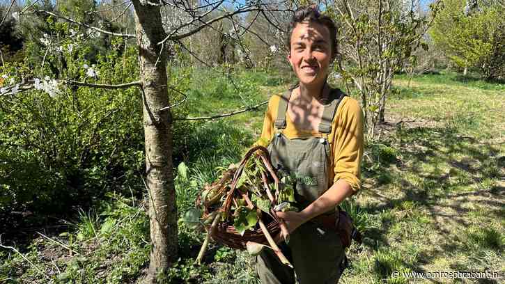 Wildplukker Roos leeft zoals onze voorouders en haalt voedsel uit het bos