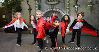 Chessington to celebrate 35 years of iconic roller coaster with giveaways and events