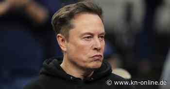 Musk geht Trumps Zoll-Architekten an: „Dümmer als ein Sack Ziegel“