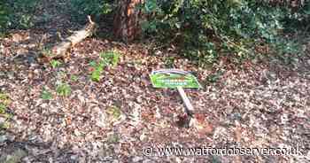 'Appalling' vandals force cancellation of kids' Easter activity