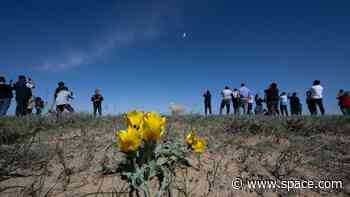 A flower's point of view of a rocket launch: Space photo of the day