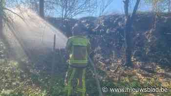 Wildcamera detecteert brand in Heers: snelle interventie voorkomt ecologische schade