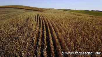 Zollstreit mit den USA: Welche Gegenzölle die EU offenbar plant
