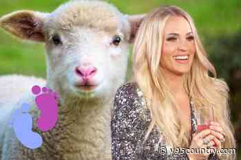 Carrie Underwood’s New ‘Baby’ Is Adorable as He ‘Mimics His Mommy’ [Watch]