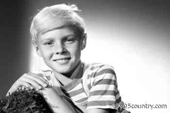 ‘Dennis the Menace’ Actor Jay North Dead at 73