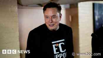 Musk labels Trump trade adviser 'moron' over Tesla comments