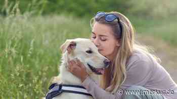 Sind Hundehalter zufriedener? Neue Studie gibt die Antwort